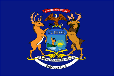 Live Answer Michigan Flag